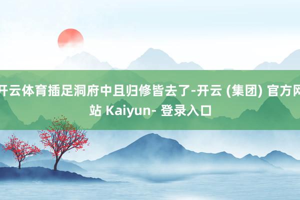 开云体育插足洞府中且归修皆去了-开云 (集团) 官方网站 Kaiyun- 登录入口