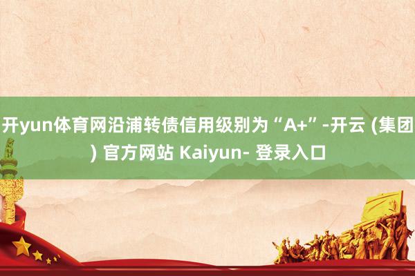 开yun体育网沿浦转债信用级别为“A+”-开云 (集团) 官方网站 Kaiyun- 登录入口