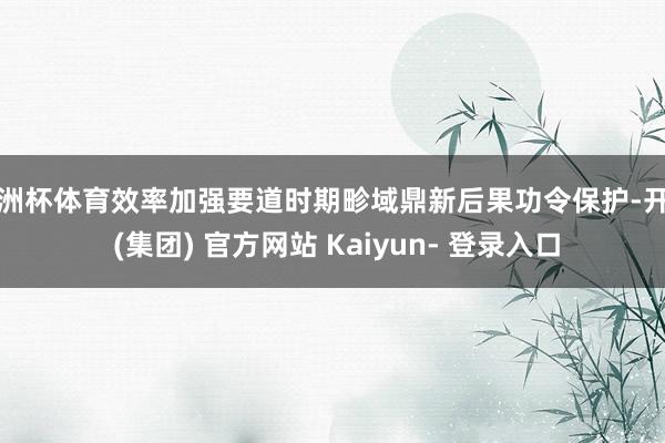 欧洲杯体育效率加强要道时期畛域鼎新后果功令保护-开云 (集团) 官方网站 Kaiyun- 登录入口
