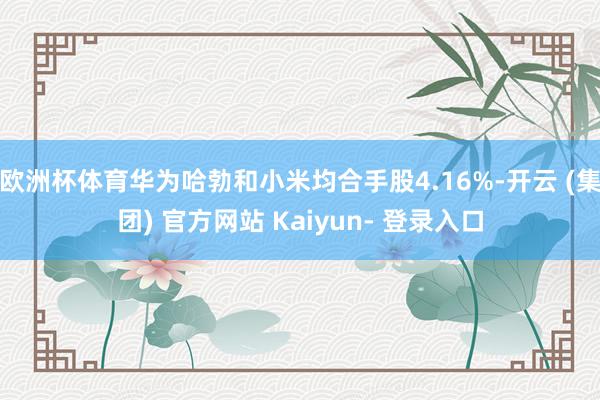 欧洲杯体育华为哈勃和小米均合手股4.16%-开云 (集团) 官方网站 Kaiyun- 登录入口