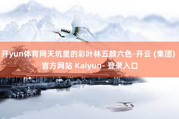 开yun体育网天坑里的彩叶林五颜六色-开云 (集团) 官方网站 Kaiyun- 登录入口
